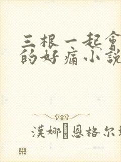 三根一起会坏掉的好痛小说