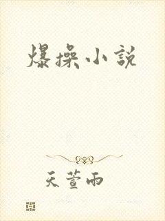 爆操小说