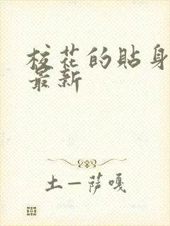 校花的贴身高手最新