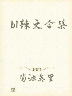 bl辣文合集
