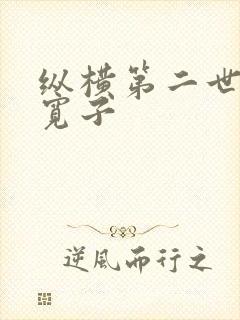 纵横第二世界 宽子