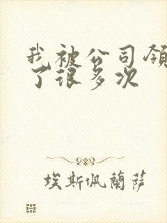 我被公司领导C了很多次