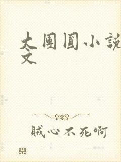 大团圆小说集全文