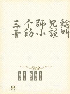 三个师兄轮流上音的小说叫什么