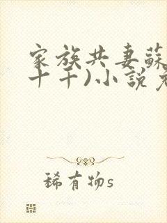 家族共妻苏苏(十千)小说免费