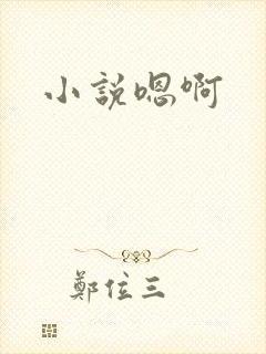 小说嗯啊