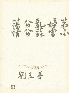 荡公乱妇第1章情公苏雪小说