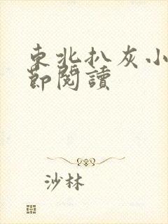 东北扒灰小说分节阅读