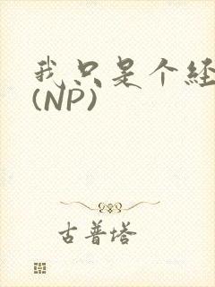 我只是个经纪人(NP)