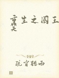 重生之国王的微笑