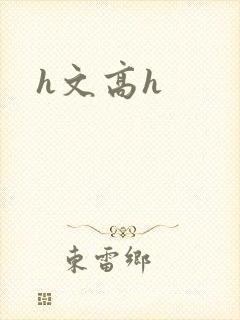h文高h