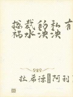 总裁的私有宝贝祸水泱泱