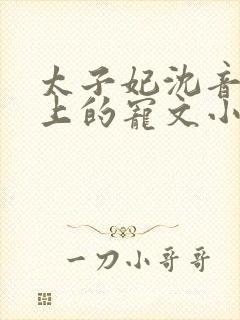 太子妃沈音和皇上的宠文小说