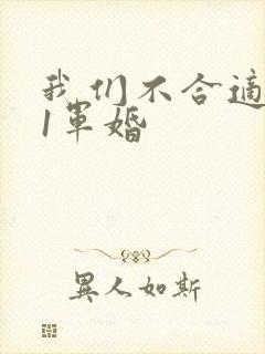 我们不合适1v1军婚