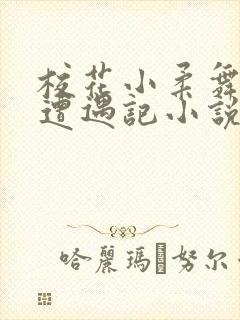 校花小柔舞蹈室遭遇记小说