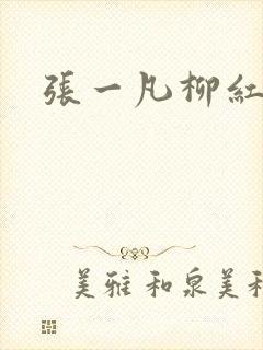 张一凡柳红
