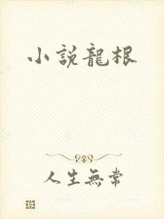 小说龙根