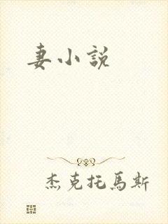 妻小说