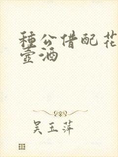 种公借配花间一壶酒