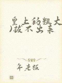 皇上的粗大(h)拔不出来