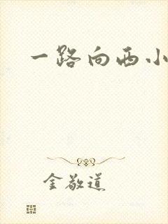 一路向西小说