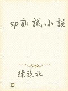 sp训诫小说