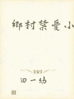 乡村禁爱小说
