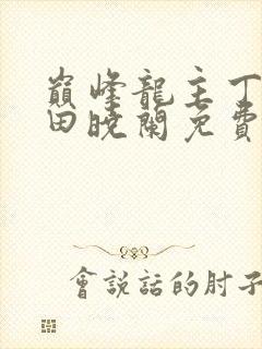 巅峰龙主丁长顺田晓兰免费阅读