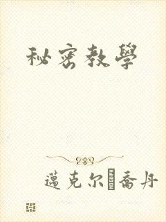 秘密教学