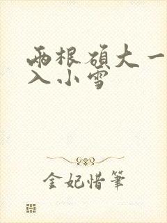 两根硕大一起挤入小雪