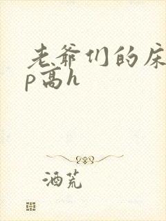 老爷们的床奴np高h