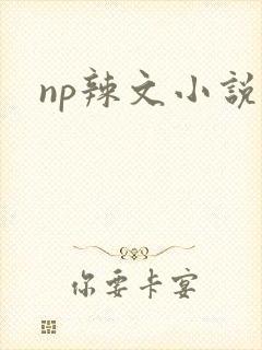 np辣文小说