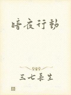 暗夜行动