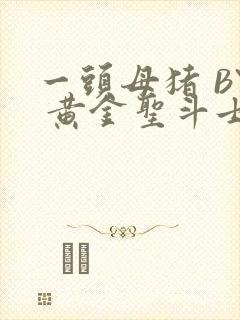 一头母猪 BY 黄金圣斗士