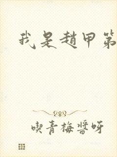 我是赵甲第小说