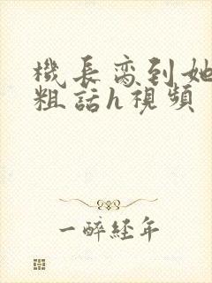 机长脔到她哭h粗话h视频