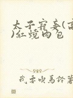 太子宠妾(高肉)红烧肉包