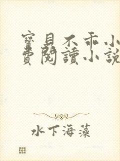 宝贝不乖小说免费阅读小说