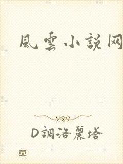 风云小说网