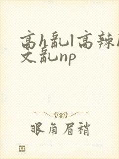 高h乱l高辣h文乱np
