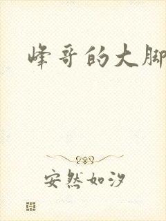 峰哥的大脚