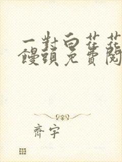 一对白花花的大馒头免费阅读