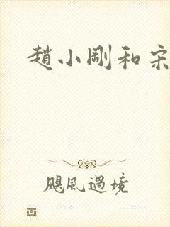 赵小刚和宋雨晴