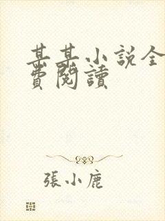 某某小说全文免费阅读