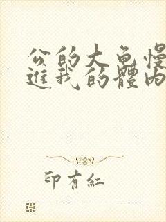 公的大龟慢慢挺进我的体内视频