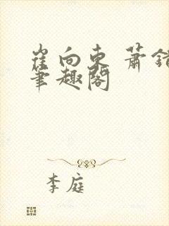 崔向东 萧错 笔趣阁