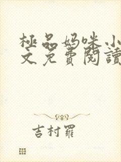 极品妈咪小说全文免费阅读