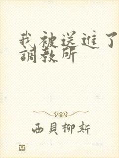 我被送进了私奴调教所