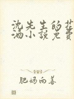 沈先生的花式调酒小说免费阅读