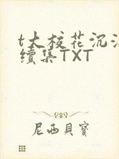 t大校花沉浮录续集TXT